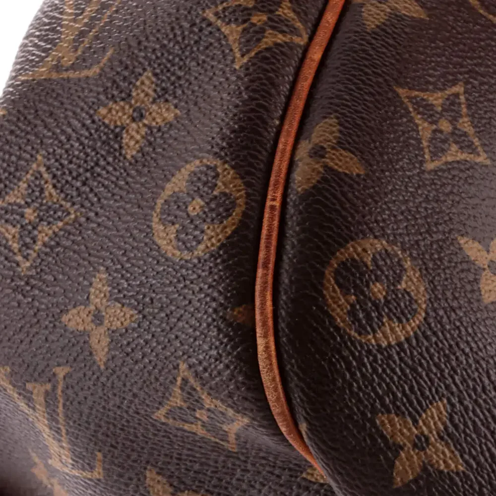 Louis Vuitton Galliera Handbag Canvas #234332L14B